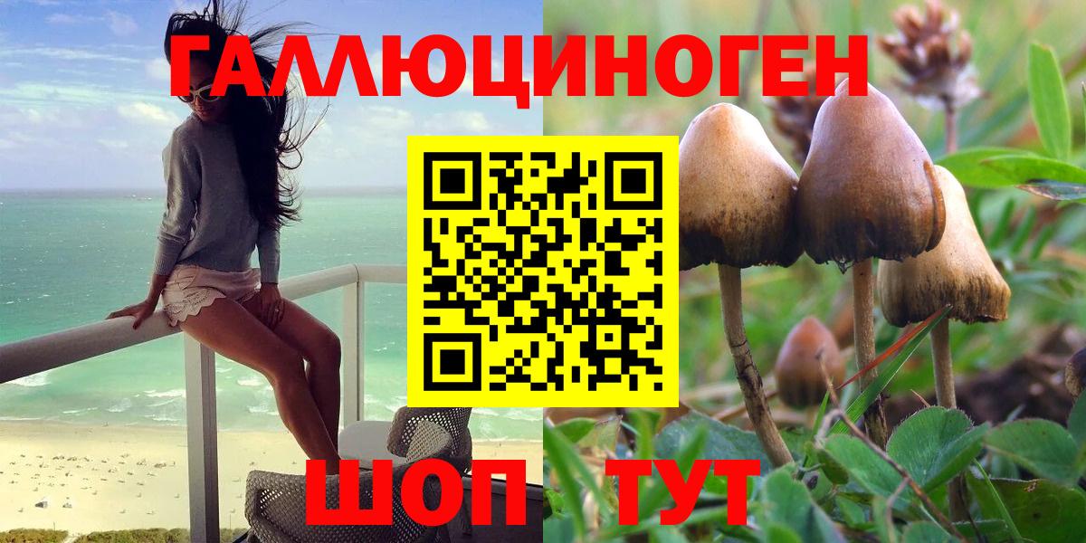 Псилоцибиновые грибы прущие грибы Беслан