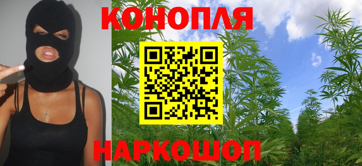 Бошки Шишки планчик  Канабис Ganja  Бошки Шишки THC 21%  Беслан  Марихуана MAZAR  Вход с VPN 